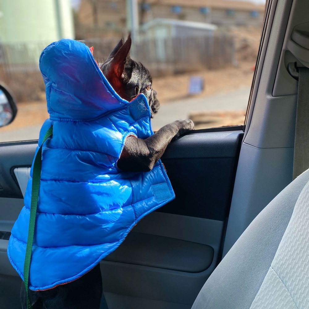 Dog Puffer Vest